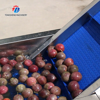 380V 0.375KW Stainless steel lifting conveyor food fruit and vegetable conveyor net belt lifting conveyor