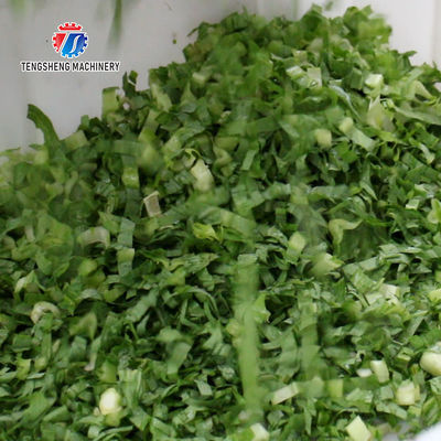 2.25KW 140KG 1.5HP Frequency conversion adjustable belt vegetable slicer vegetable leaf slicer