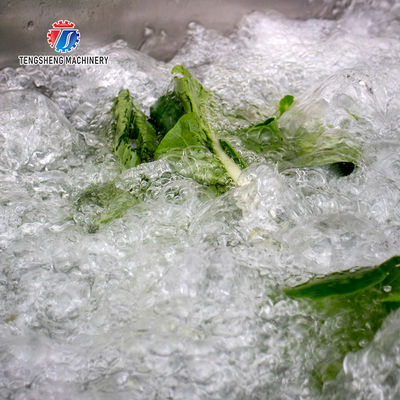 1.1KW Multi-functional vegetable washing machine seafood meat cleaning machine ultrasonic cleaning machine
