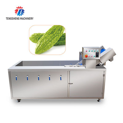2.6KW Impurity Filter Fruit And Vegetable Washing Machine Citrus Apple