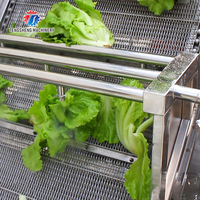 2.6KW Fruit and vegetable cleaning and processing equipment automatic washing machine conveyor belt bubble cleaning mach
