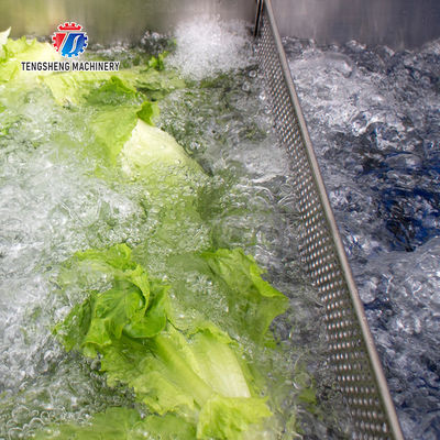 Watercress Bubble Generating Vegetable Fruit Cleaning Machine , Apricot Commercial Vegetable Washer
