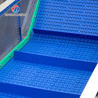 240KG Air bubble vortex washing machine Fruit and vegetable washing machine cleaning production line