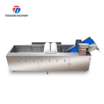 250KG Fruit and vegetable automatic roller washing machine Multi-functional vegetable washing machine automatic