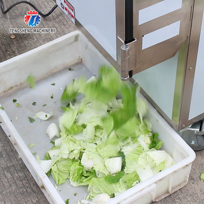 180KG Large canteen commercial potato slicing multi-functional single head vegetable leaf slicing machine made in Taiwan