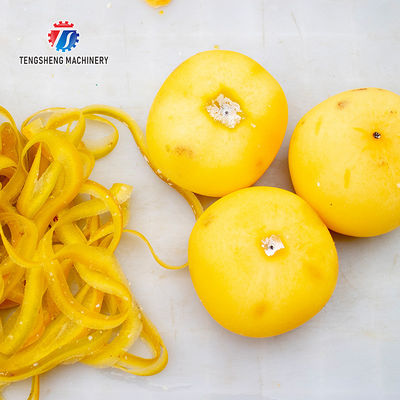 220V Industrial commercial fruit and vegetable peeler Apple pear persimmon peeler