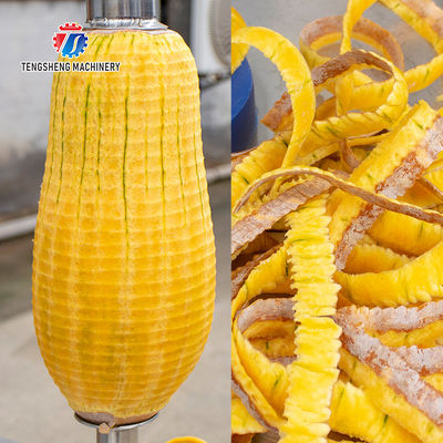 1.0KW 90KG White gourd and pumpkin peeler single head single knife peeler Fruit and vegetable peeler