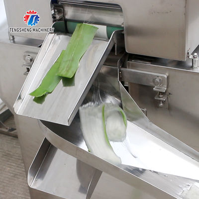 1500KG/H Large supply of peeling machine peeling aloe vera peeling machine yield large peeling effect