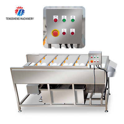 2.5KW Potato flat roller cleaning equipment seafood cleaning machine potato cleaning machine equipment