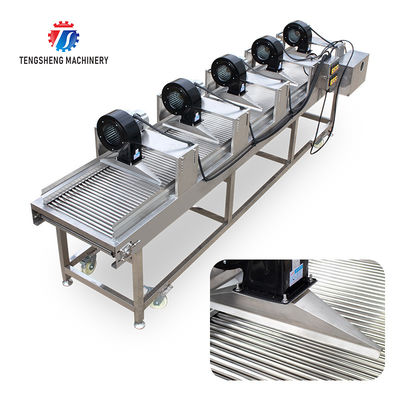 350KG 380V Vegetable drain air drying machine complete set of equipment for fruit and vegetable air drying parallel air