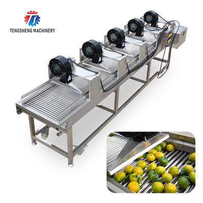 350KG 380V Vegetable drain air drying machine complete set of equipment for fruit and vegetable air drying parallel air