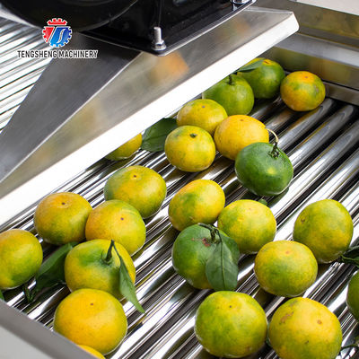 350KG 380V Vegetable air drying line fruit parallel air drying machine packaging air drying
