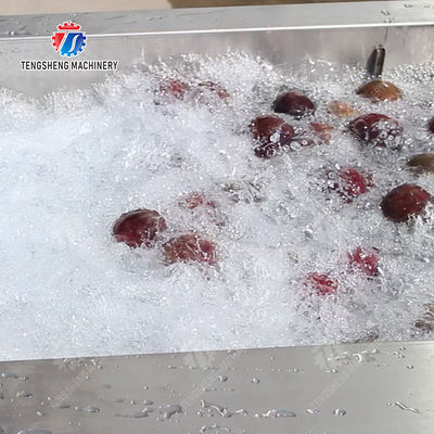 Revolutionize Your Production Process with Our Fruit And Vegetable Processing Line