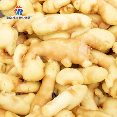 Brush bubble cleaning, drying, selection and cutting production line Fruit Vegetable FOOD processing production Machine