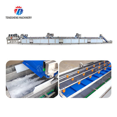 Pineapple bubble washing and vibrating air-drying line Fruit Vegetable FOOD processing production Machine