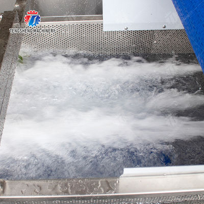 Pineapple bubble washing and vibrating air-drying line Fruit Vegetable FOOD processing production Machine