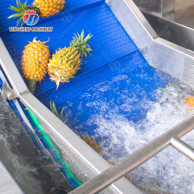 Pineapple bubble washing and vibrating air-drying line Fruit Vegetable FOOD processing production Machine