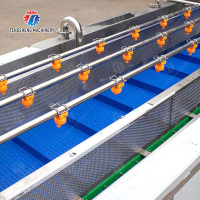 Pineapple bubble washing and vibrating air-drying line Fruit Vegetable FOOD processing production Machine