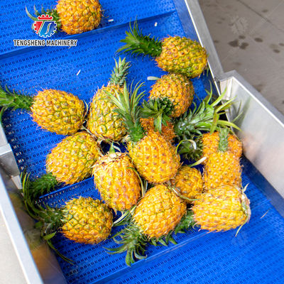 Pineapple bubble washing and vibrating air-drying line Fruit Vegetable FOOD processing production Machine