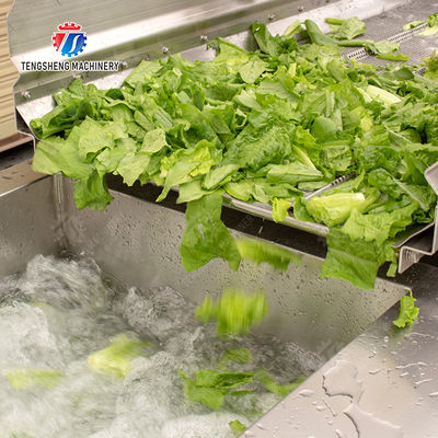 Double Vortex cleaning production lineOrange Leaves Vegetables sward beans soybeans green beans chickpeas beans  red beans mung beans green peas Fruit Vegetable FOOD processing production Machine