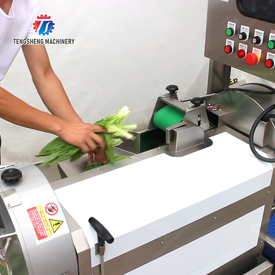 Double head cutting-hoisting-vortex washing production line Fruit Vegetable FOOD processing production Machine
