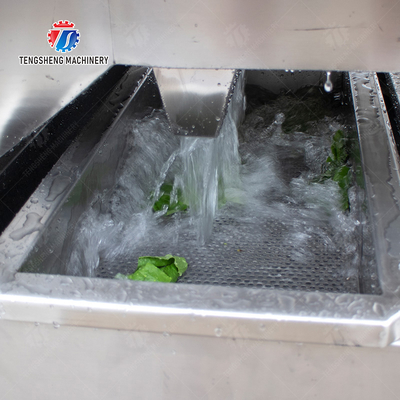 Double head cutting-hoisting-vortex washing production line Fruit Vegetable FOOD processing production Machine