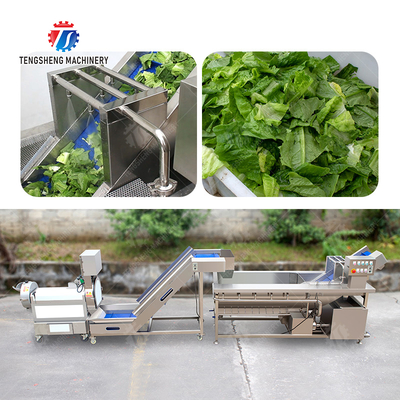 Double head cutting-hoisting-vortex washing production line Fruit Vegetable FOOD processing production Machine