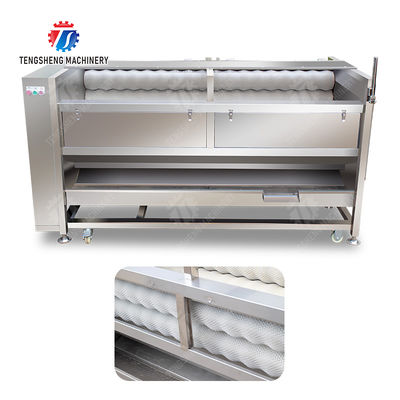 Large scale brush Washing cleaning and peeling machine Ginger Potato Carrot Taro Sweet potato Yam Saiko persimmon papaya horseshoe macadamia nut