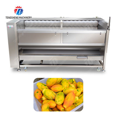 Large scale brush Washing cleaning and peeling machine Ginger Potato Carrot Taro Sweet potato Yam Saiko persimmon papaya horseshoe macadamia nut
