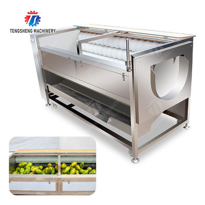 Large scale brush Washing cleaning and peeling machine Ginger Potato Carrot Taro Sweet potato Yam Saiko persimmon papaya horseshoe macadamia nut
