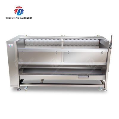 Large scale brush Washing cleaning and peeling machine Ginger Potato Carrot Taro Sweet potato Yam Saiko persimmon papaya horseshoe macadamia nut