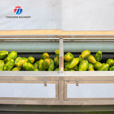 Large scale brush Washing cleaning and peeling machine Ginger Potato Carrot Taro Sweet potato Yam Saiko persimmon papaya horseshoe macadamia nut