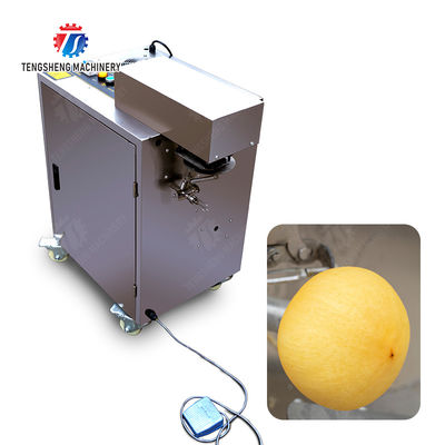 Persimmon peeling machine processing production Supplying Machine