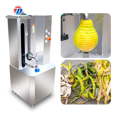 Single knife peeling machine papaya chieh-qua pumpkin wax gourd Taro Peeling polishing processing production