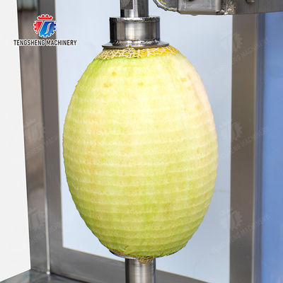papaya chieh-qua pumpkin wax gourd pineapple Vertical single knife peeling machine watermelon Hami Melon Peeling polishing