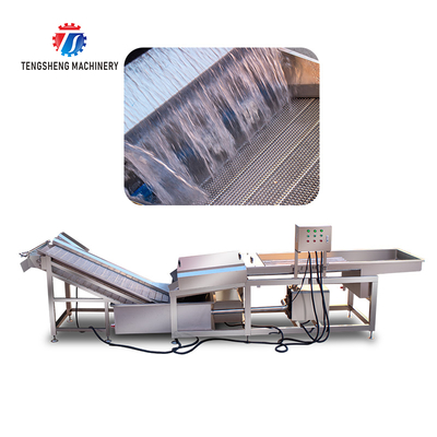 Mushroom slicer Wash Washer Washing Shiitake mushrooms Cleaning Dryer Cutting processing production Machine