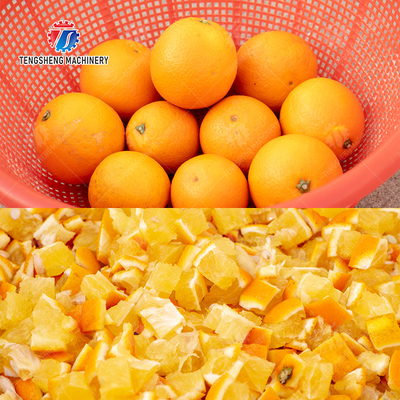 2025 Fruit And Vegetable Processing Line For MEAT Final Product X Apply to Year