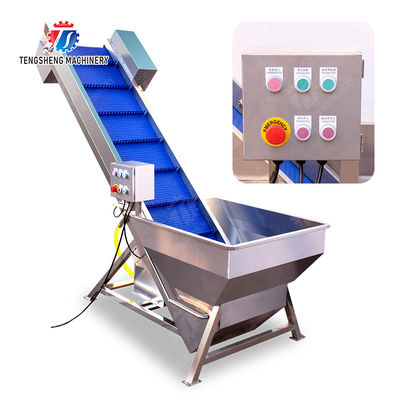 Pre-foaming elevator processing production Destoning Supplying Inspecting Grading Fruit Orange Vegetable Onions horseshoe Ginger Potato Carrot radish Lettuce Baby Cabbage Chinese Cabbage Cabbage