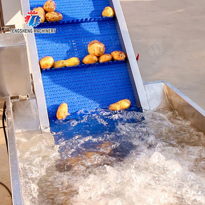 Pre-foaming elevator processing production Destoning Supplying Inspecting Grading Fruit Orange Vegetable Onions horseshoe Ginger Potato Carrot radish Lettuce Baby Cabbage Chinese Cabbage Cabbage