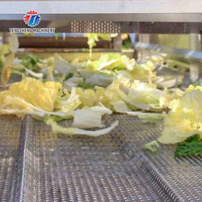 Stainless Steel Vegetable Processing Machine 4.25KW Fruit Air Dryer