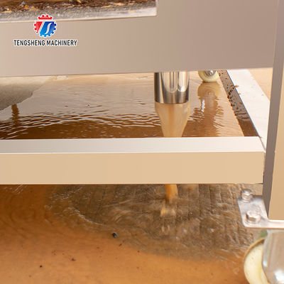 380KG 1.5KW Continuous cleaning equipment seafood wool roller cleaning root cleaning