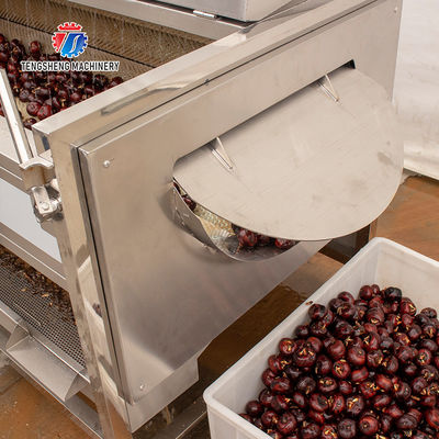 380KG 1.5KW Continuous cleaning equipment seafood wool roller cleaning root cleaning