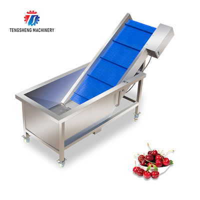 380V 0.375KW Stainless steel lifting conveyor food fruit and vegetable conveyor net belt lifting conveyor
