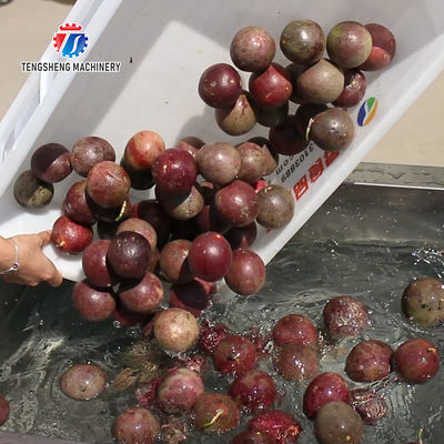 380V 0.375KW Stainless steel lifting conveyor food fruit and vegetable conveyor net belt lifting conveyor