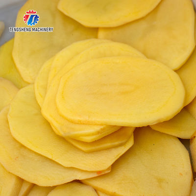 1000KG/H 80KG Vertical multi-function vegetable slicer balanced onion slicer Orange circular slicer high yield