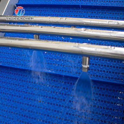 2.6KW Impurity Filter Fruit And Vegetable Washing Machine Citrus Apple