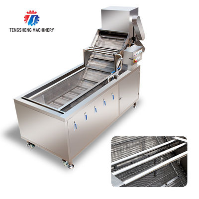 2.6KW Fruit and vegetable cleaning and processing equipment automatic washing machine conveyor belt bubble cleaning