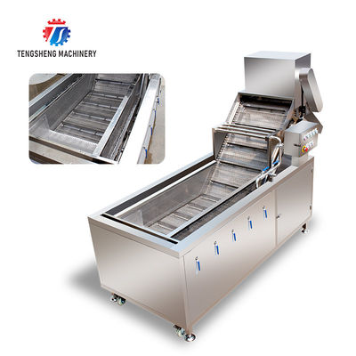 2.6KW Fruit and vegetable cleaning and processing equipment automatic washing machine conveyor belt bubble cleaning