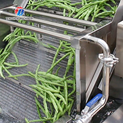 2.6KW Fruit and vegetable cleaning and processing equipment automatic washing machine conveyor belt bubble cleaning