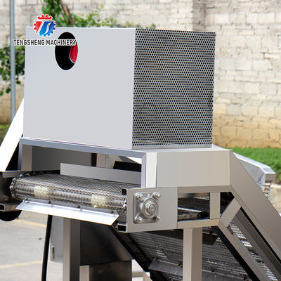 2.6KW Fruit and vegetable cleaning and processing equipment automatic washing machine conveyor belt bubble cleaning